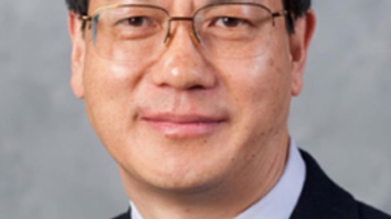 电子模块批发价格，如何精准把握性价比？**