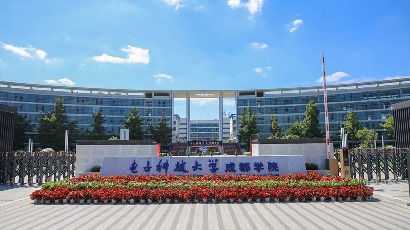 电阻代理加盟定制服务：揭秘定制化电阻的奥秘
