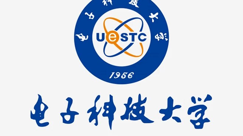 成都电子代工：技术参数要求的深度解析