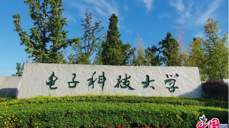 水泥电阻：揭秘十大品牌背后的技术实力与市场选择**